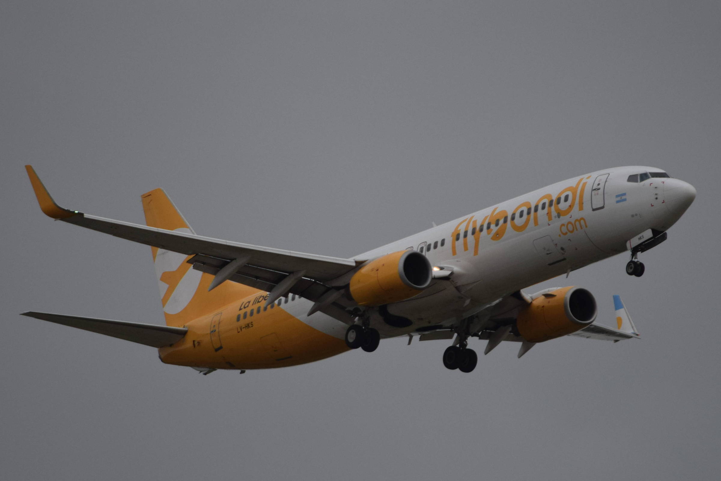 Flybondi: clientes relatam prejuízos e abandono – 30/07/2026 – Economia