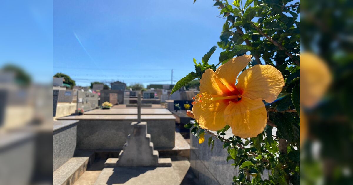 Confira os falecimentos desta quinta-feira (16) em Apucarana