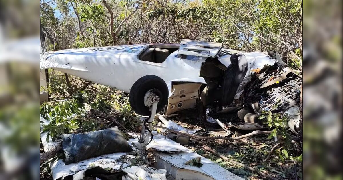 Avião de pequeno porte cai e mata médico e esposa; piloto sobreviveu