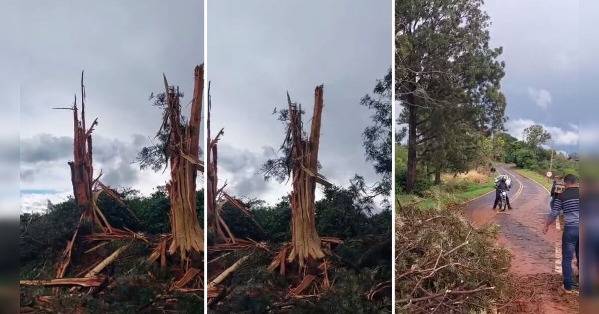 Raio destrói árvores e causa estragos na zona rural de Grandes Rios