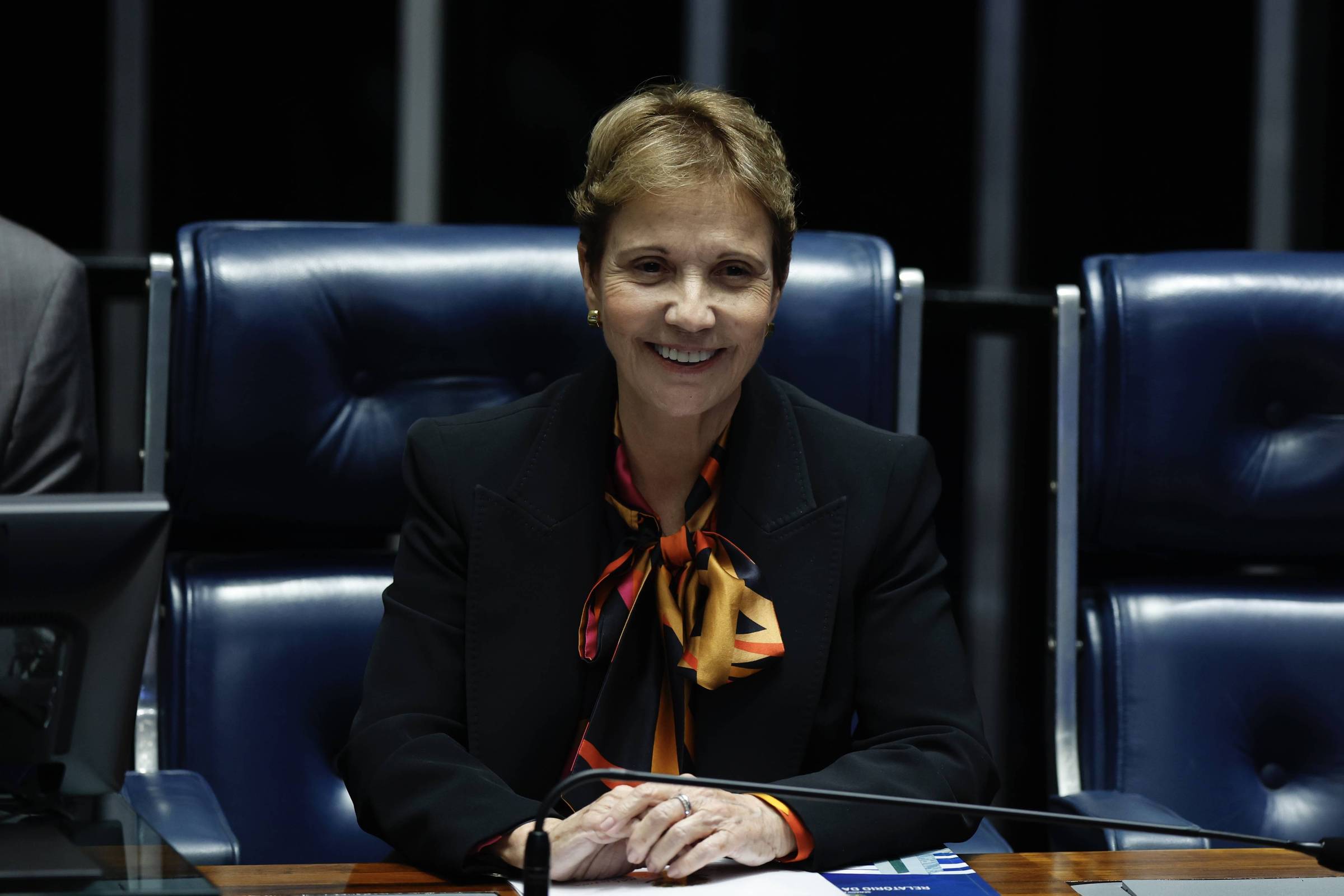 Ruralistas defendem Tereza Cristina para presidente – 28/07/2026 – Painel