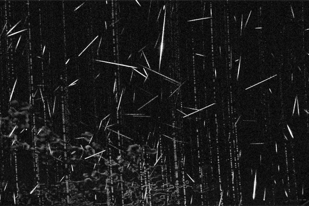 Observatório brasileiro registra chuva de meteoros: veja – 31/07/2026 – Ciência