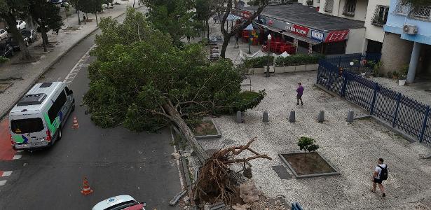 Ventania arrasadora é sinal do El Niño? O que esperar