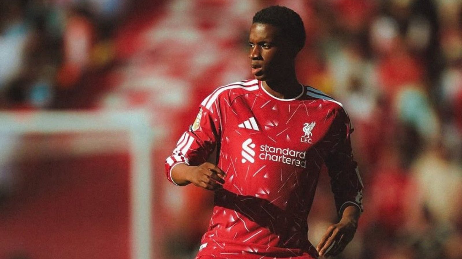 Liverpool may have unearthed exactly what they need in midfield