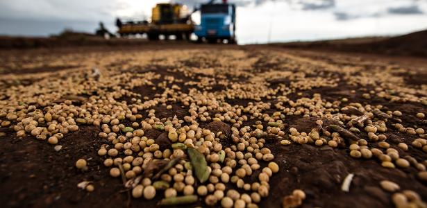 Tarifaço vai atingir 36,5% das exportações do agronegócio aos EUA, diz CNA