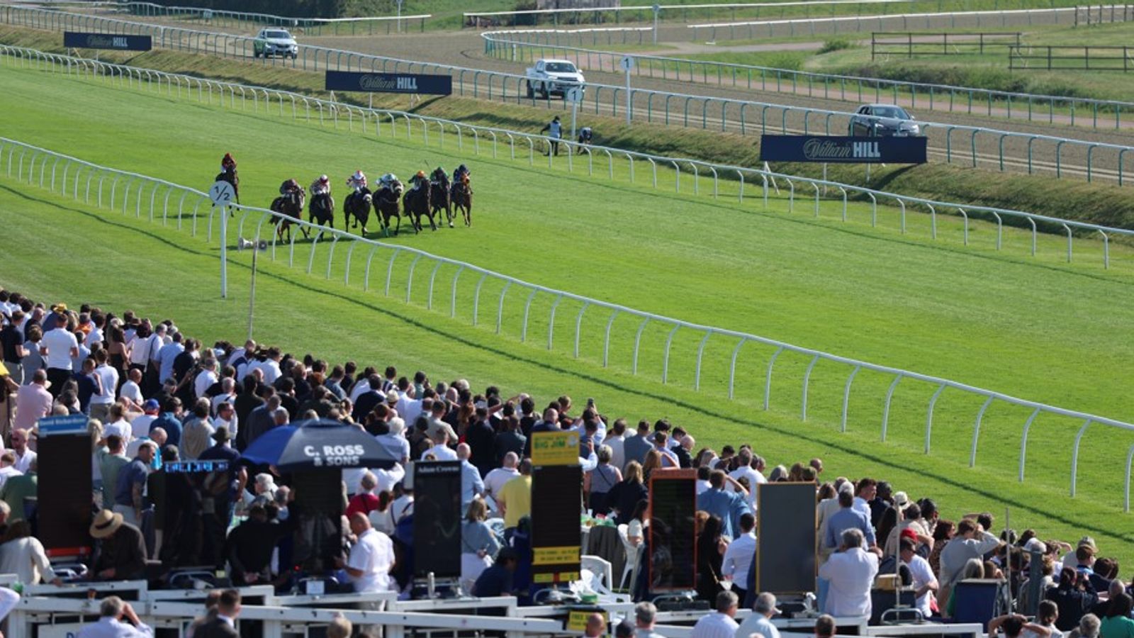 Today on Sky Sports Racing: Lingfield and Worcester host competitive Wednesday cards | Racing News