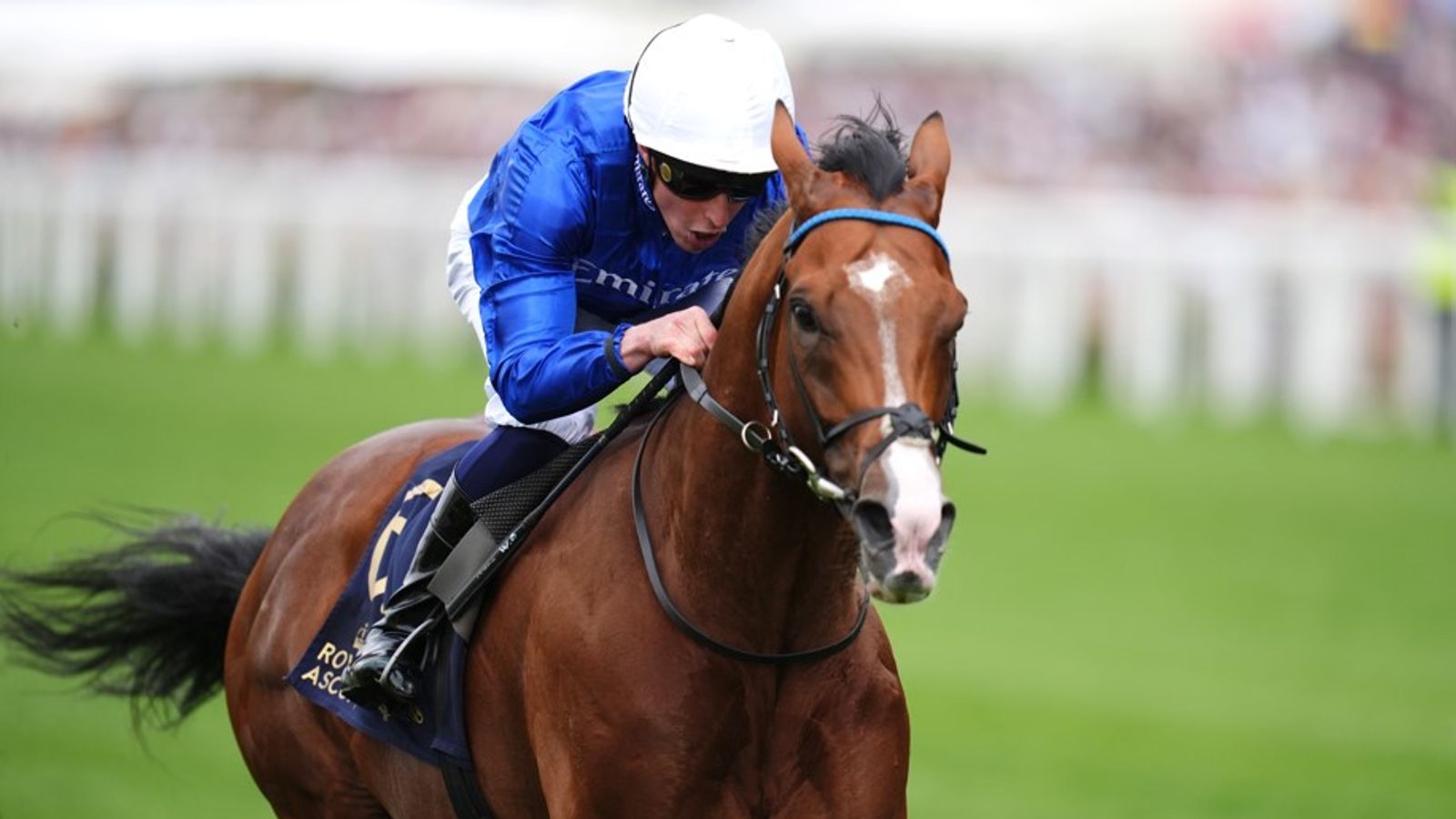 Today on Sky Sports Racing: Ombudsman’s half-sister makes debut at Wolverhampton | Racing News