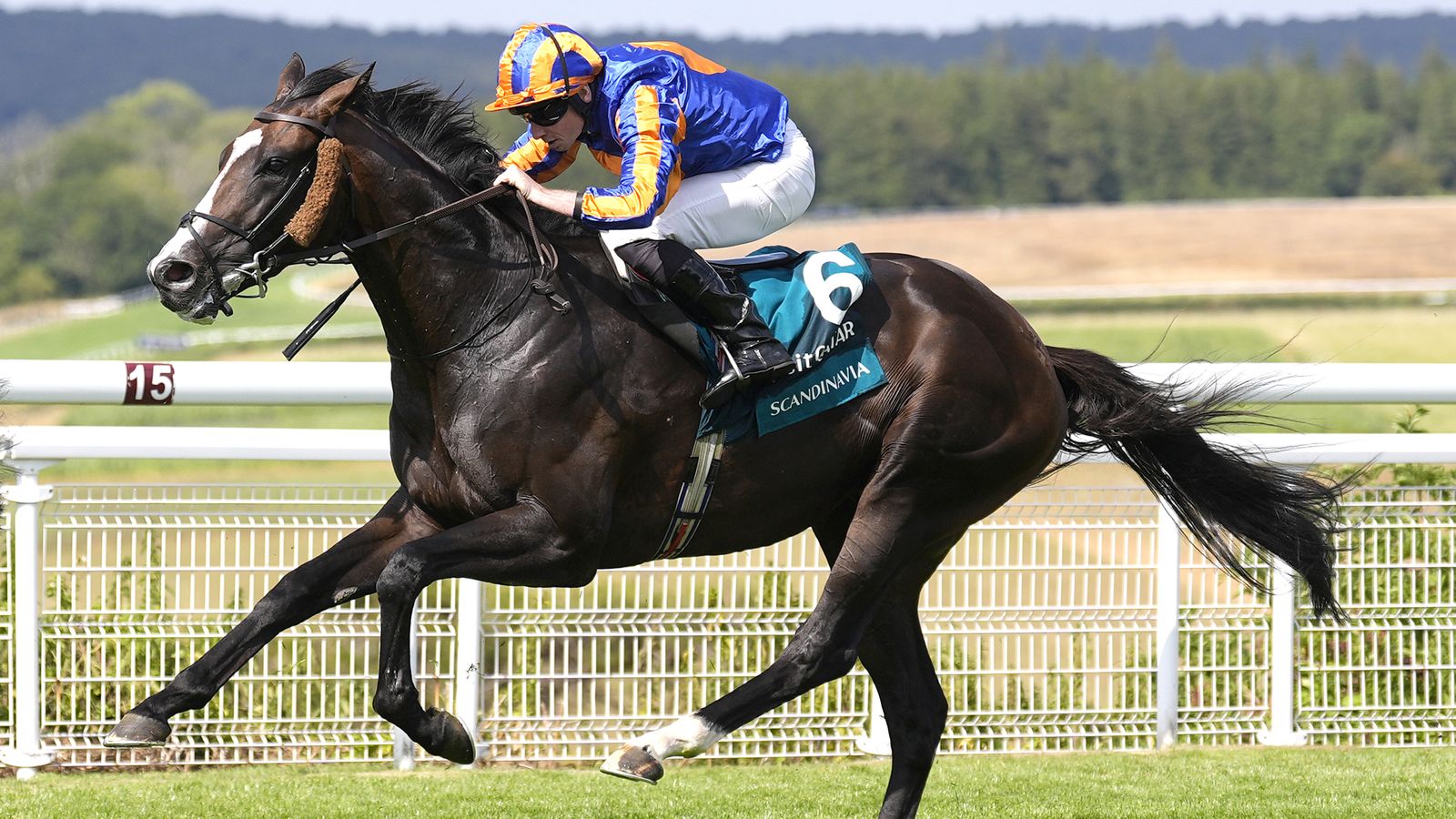 Goodwood Cup: Scandinavia retains Group 1 crown after eventful race | Racing News