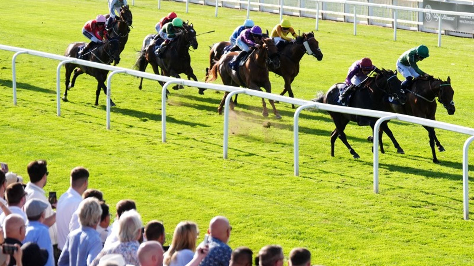 Today on Sky Sports Racing: Bay Bridge’s full brother Castlemont set for first start at Windsor | Racing News