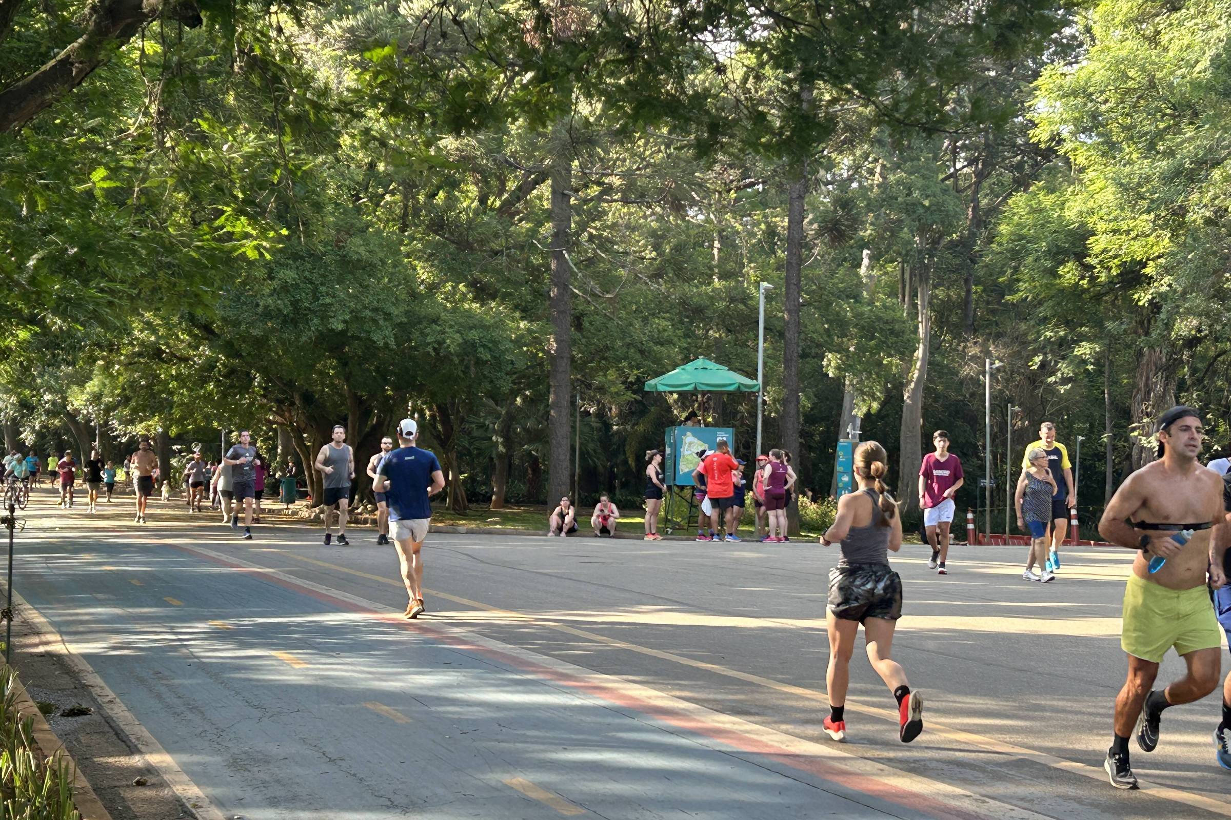 Sábado (1º) deve ter temperatura de 12°C a 29°C em SP – 01/08/2026 – Cotidiano