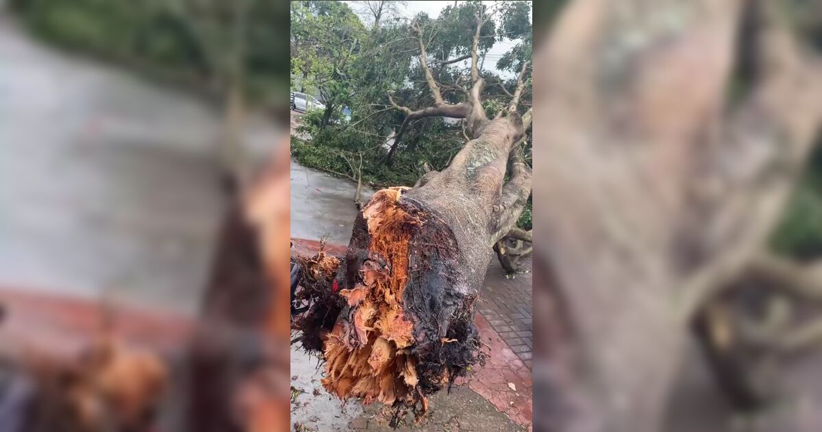 Temporal arrasta brinquedo inflável e deixa duas crianças feridas em Apucarana