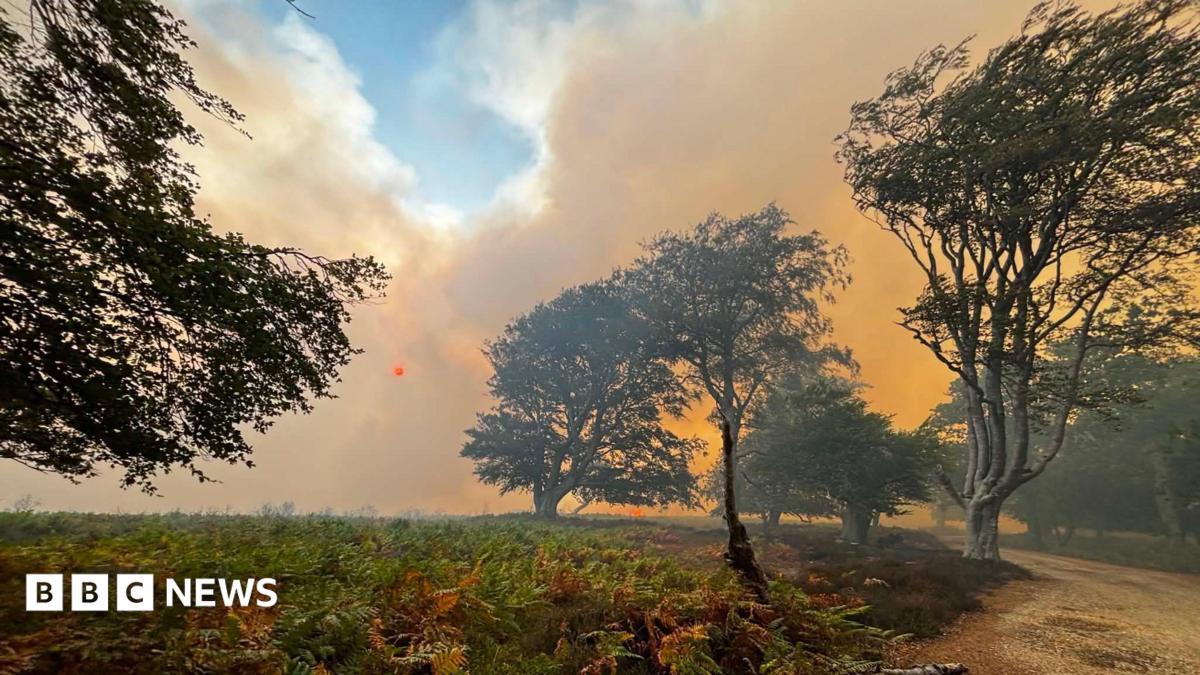 Crews still tackling New Forest fire that spread from van on A31