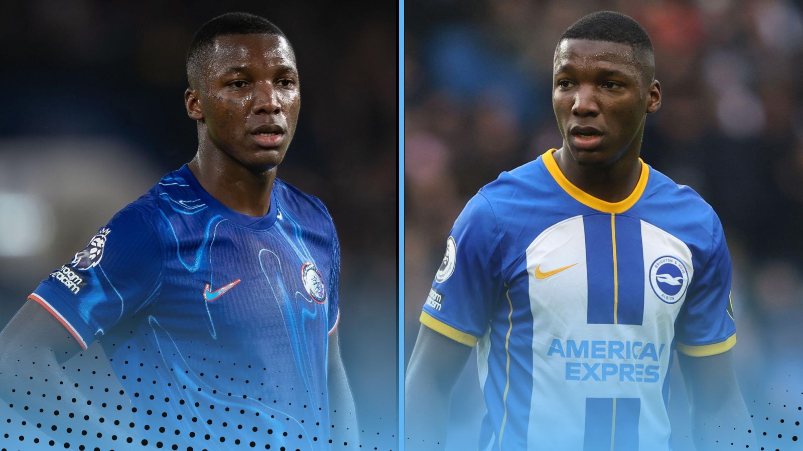 Everybody to play for Chelsea & Brighton