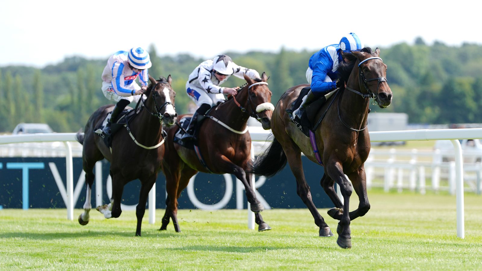 Today on Sky Sports Racing: British raiders Into The Sky and Mitbaahy on show at Deauville | Racing News