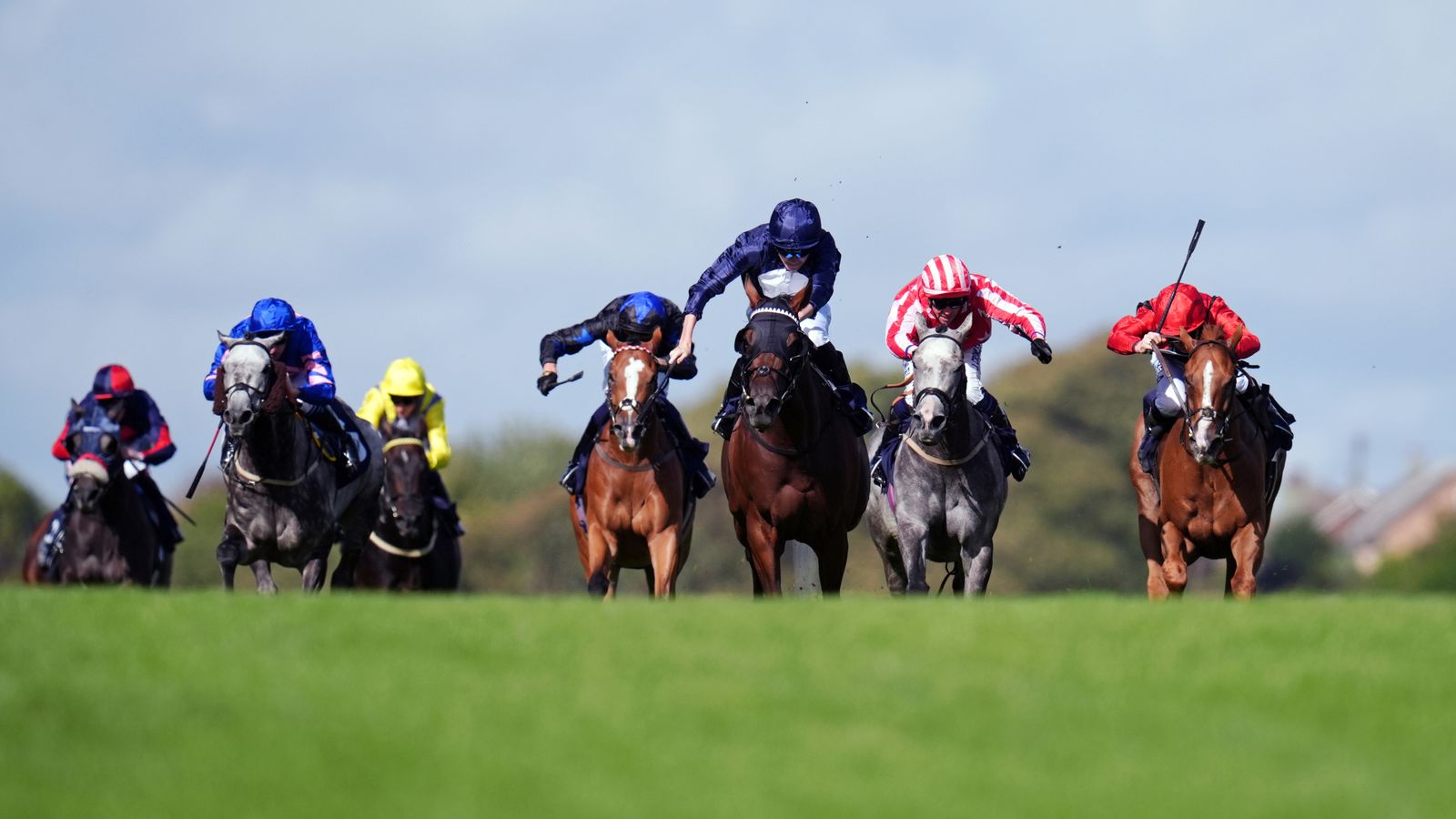 Today on Sky Sports Racing: Silca Bay and Sea Suite face off as Brighton Festival begins | Racing News
