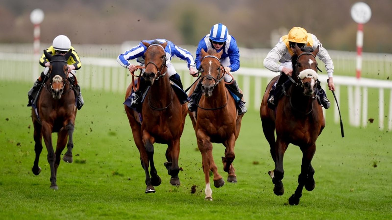 Today on Sky Sports Racing: Doncaster and Lingfield Park | Racing News