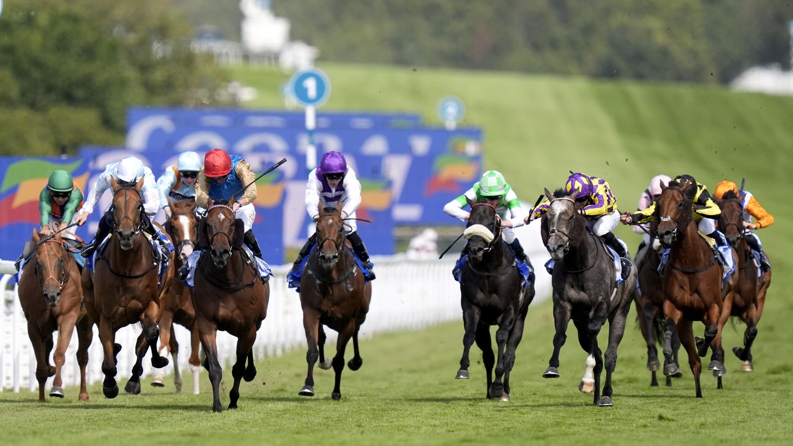 Goodwood: Evening Saigon continues magical week for Wathnan Racing with Stewards’ Cup win as Goodie Two Shoes also prevails | Racing News