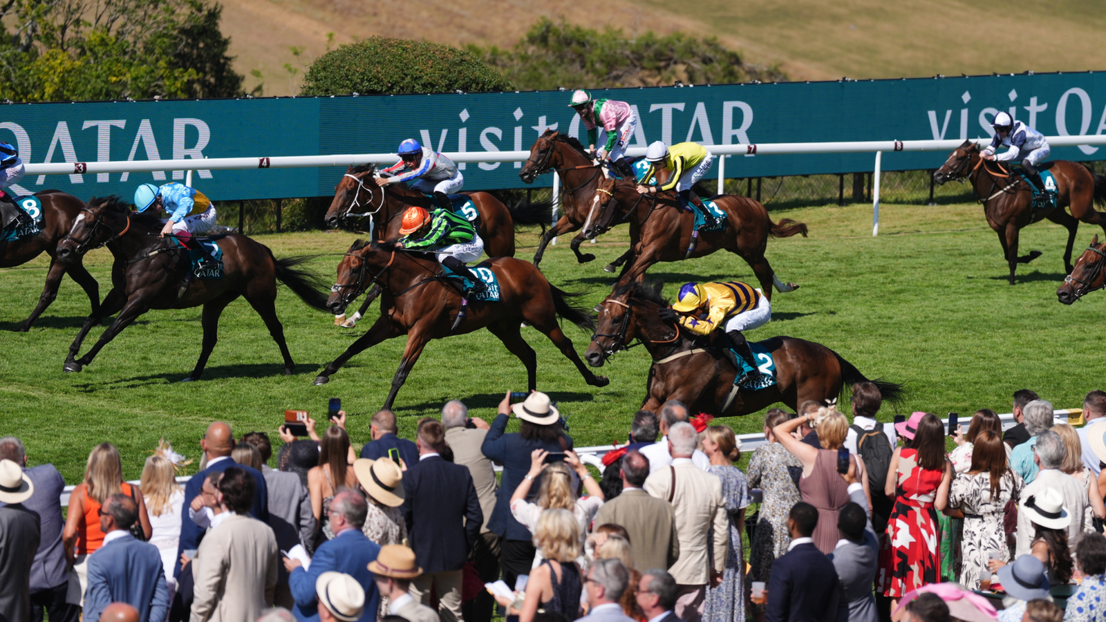American Affair flies the flag for Goldie at Goodwood | Racing News