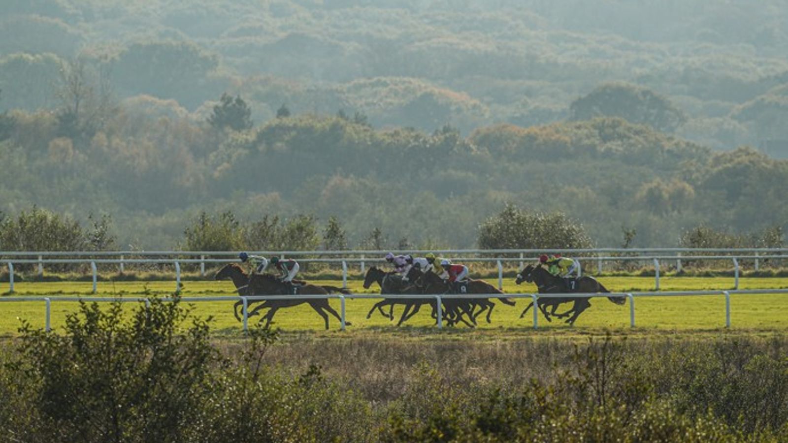 Today on Sky Sports Racing: Ffos Las hosts six-race card live on Wednesday | Racing News