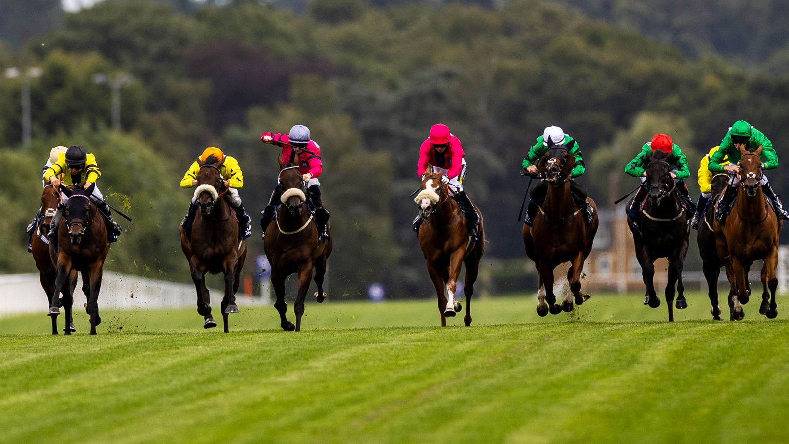 Today on Sky Sports Racing: Ascot stages Shergar Cup meeting with Lingfield also live on Saturday | Racing News