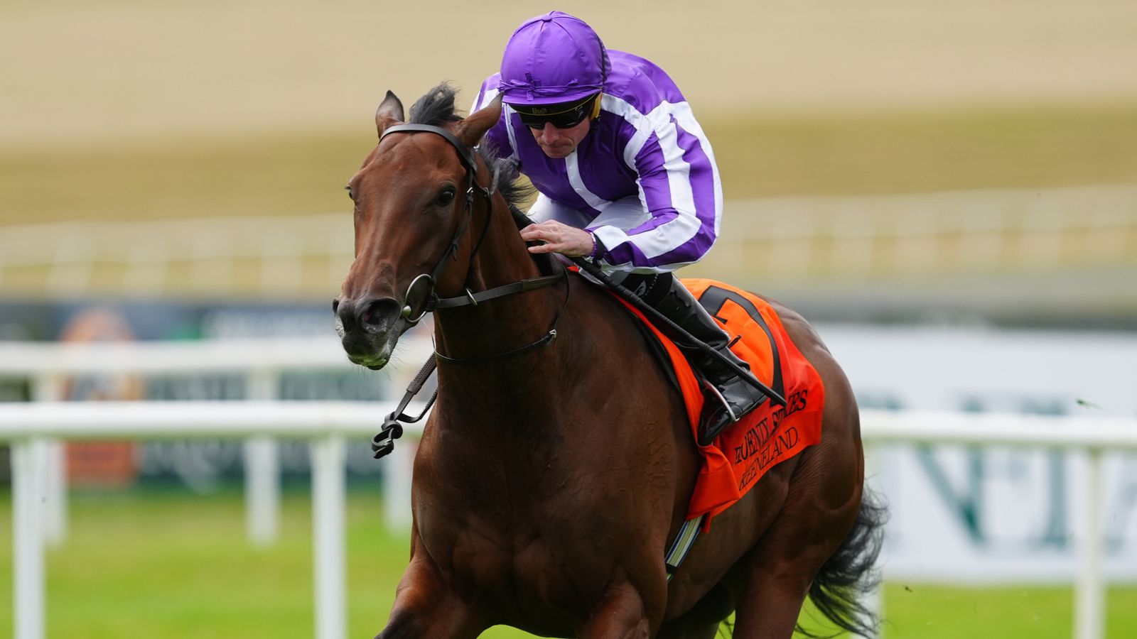 ‘Exciting’ Sun Goddess looks the part for record-breaking Aidan O’Brien in Phoenix Stakes at the Curragh | Racing News