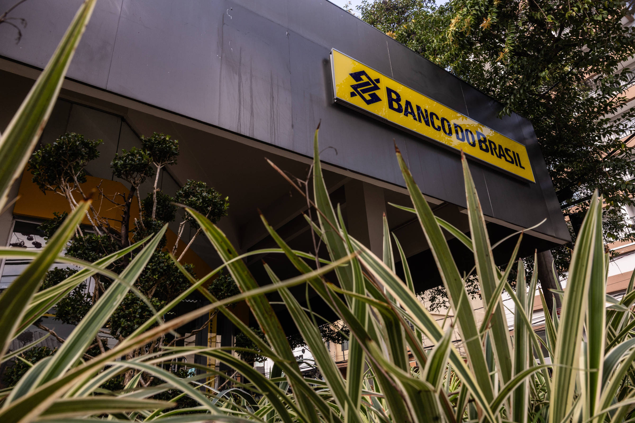Banco argentino do BB compra braço de varejo de rival – 08/09/2026 – Economia