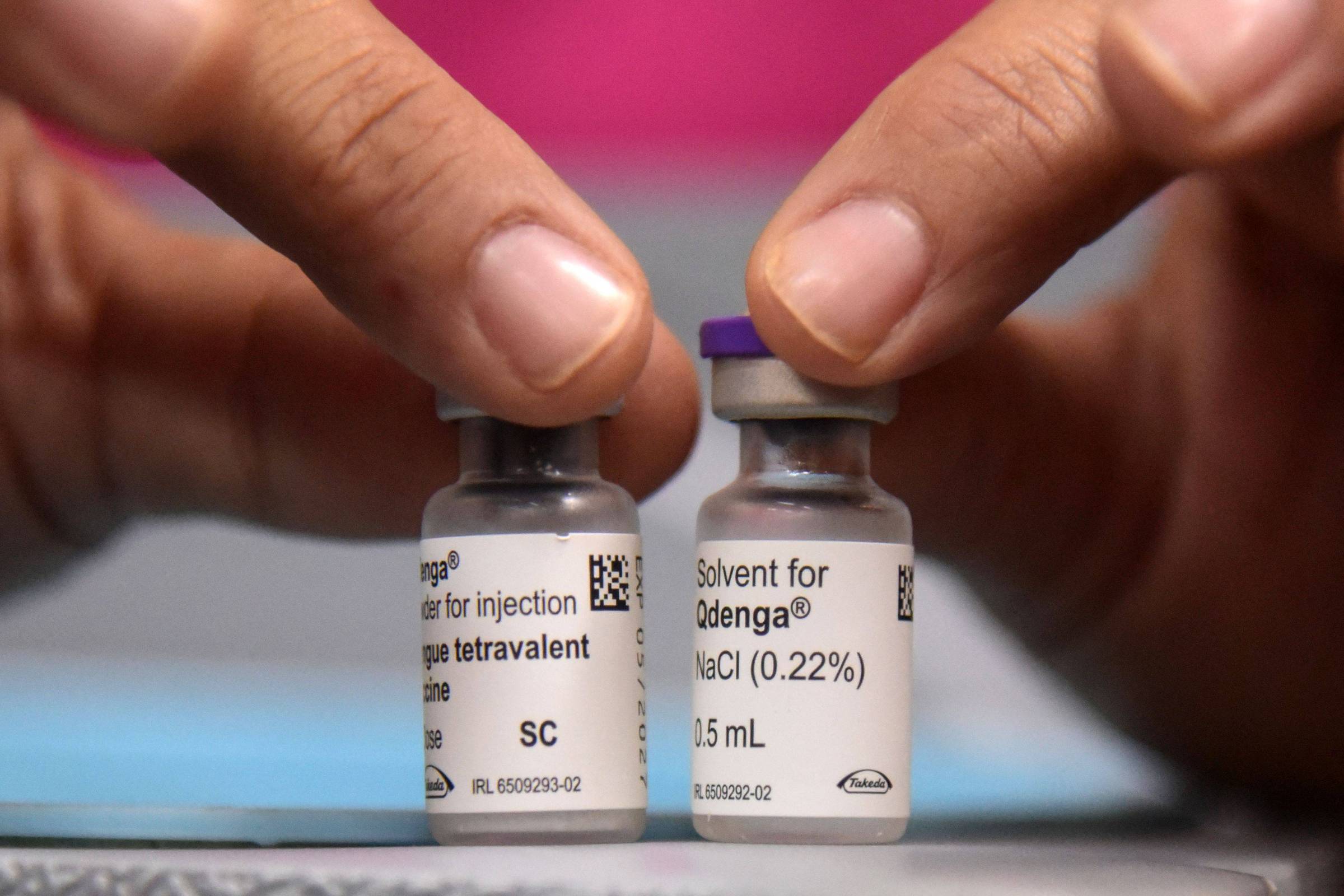 Vacina contra dengue protege jovens após 1 dose – 31/08/2026 – Equilíbrio e Saúde