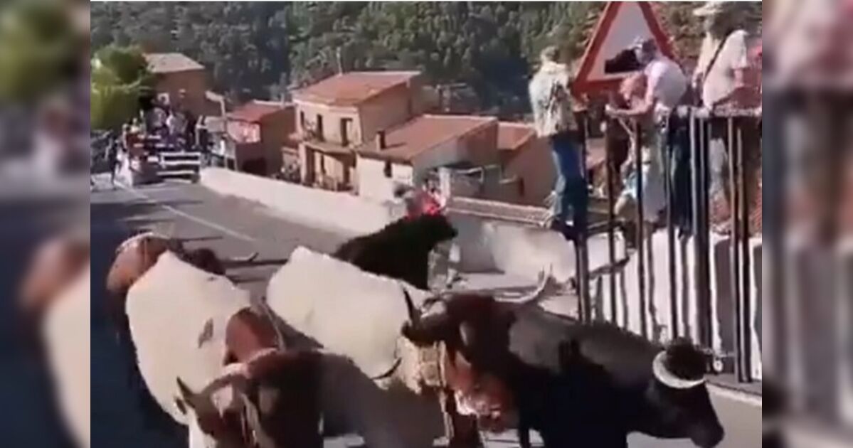 Mulher de 64 anos morre e homem fica ferido após ataque de touro em festival na Espanha