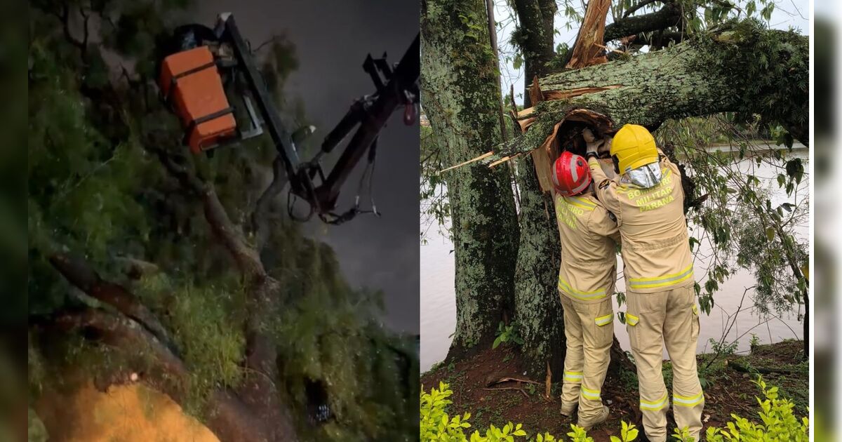 Chuva e ventania derrubam árvores e bloqueiam vias em Apucarana