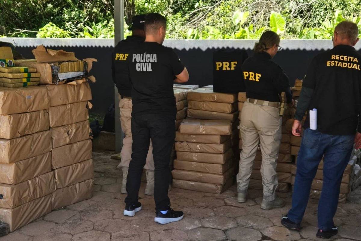 Polícia acha duas toneladas de maconha em carga de repolho – 18/09/2026 – Cotidiano