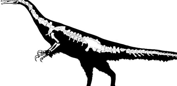 dinossauro é descoberto na China