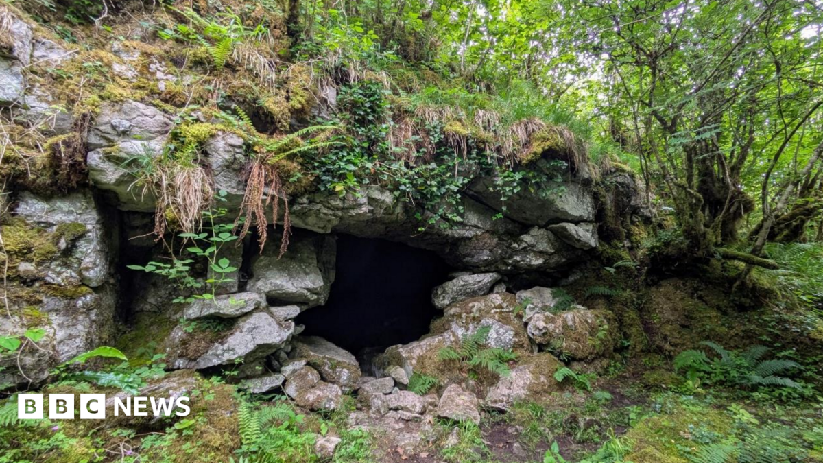 Cave art discovery suggests first humans in Ireland came from Wales