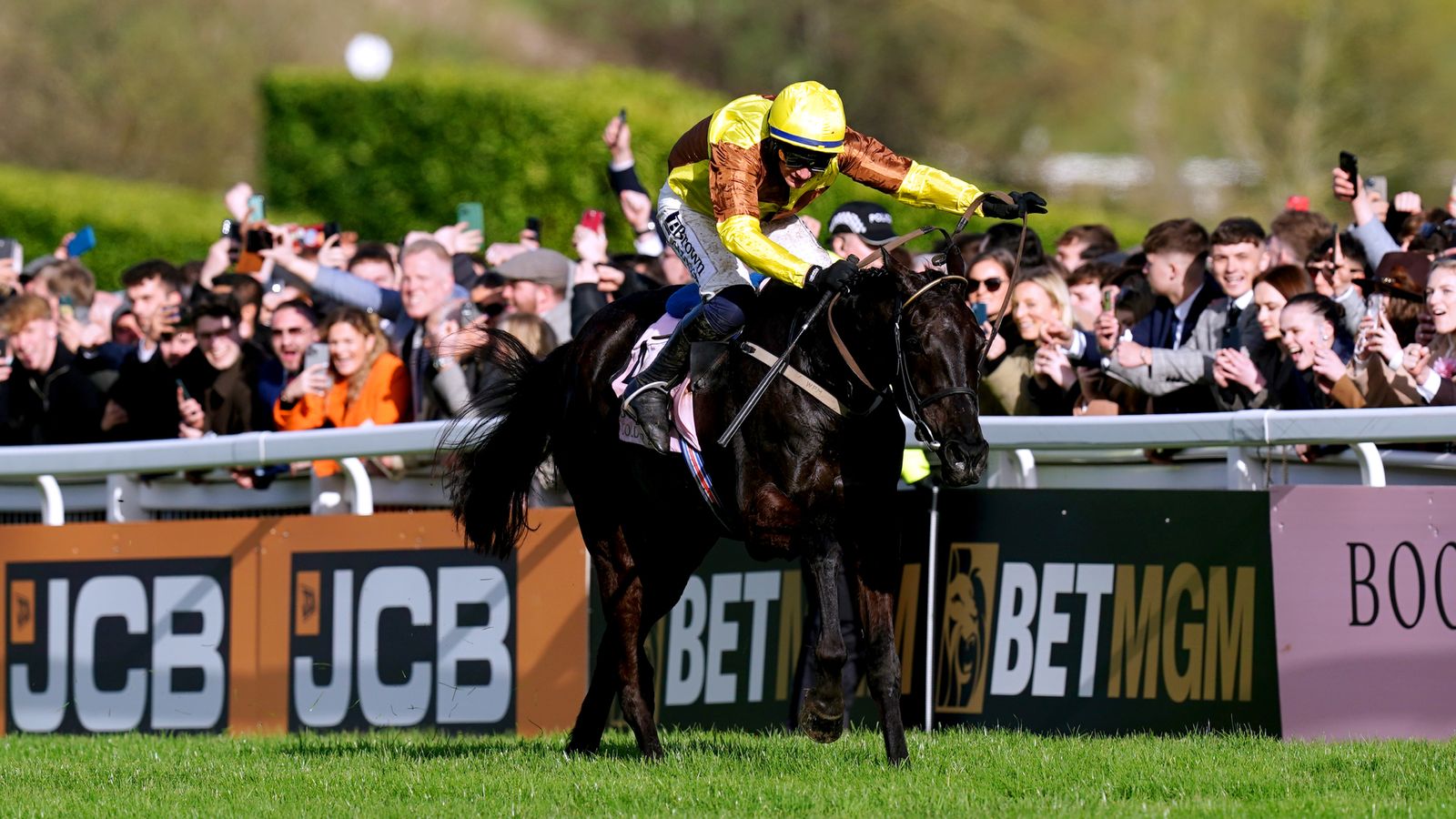 Galopin Des Champs: Two-time Cheltenham Gold Cup winner dies aged 10 following accident in field | Racing News