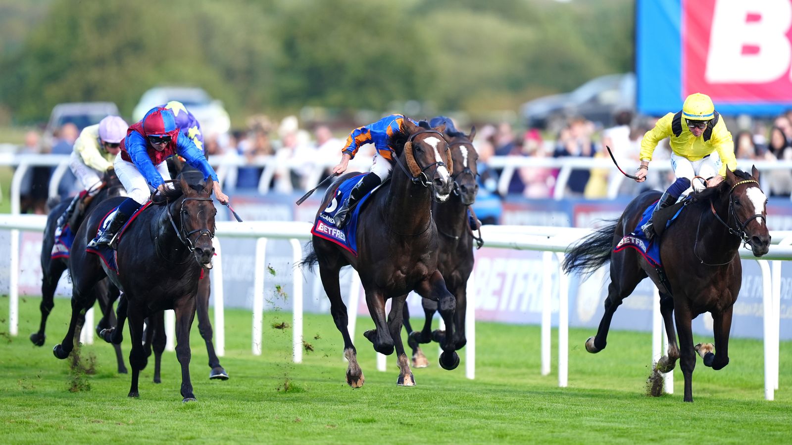 St Leger: Mike Cattermole’s big race runners guide | Racing News