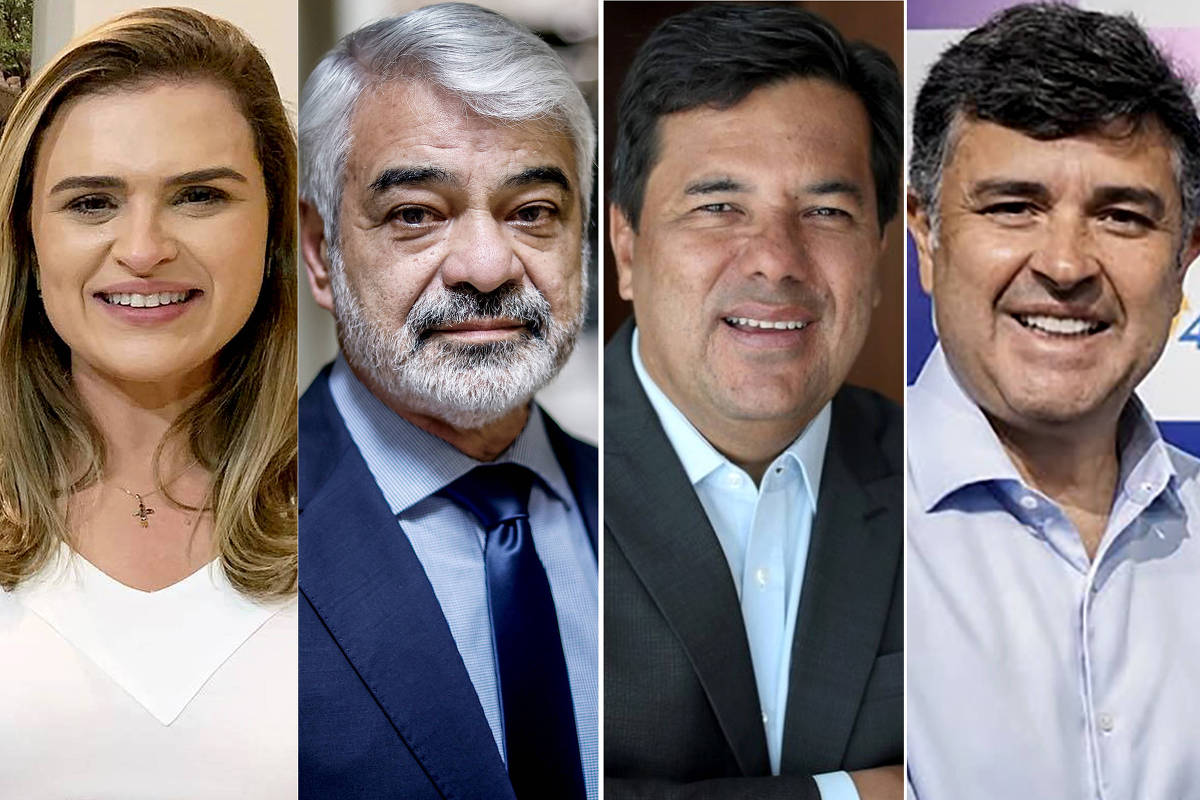 Veja pesquisa Datafolha para Senado em Pernambuco – 03/10/2026 – Política