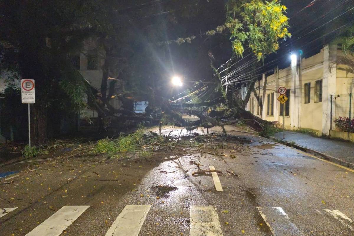 Chuva no interior de SP deixa estragos em nove cidades – 12/10/2026 – Cotidiano