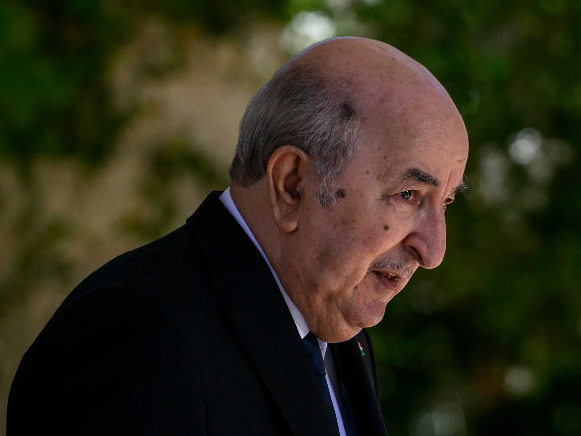 Algeria sent fighter jets to Niger to thwart ‘coup attempt’, president says | Military News