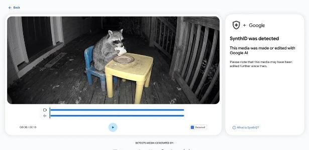 Google lança site do SynthID para identificar mídia feita por IA