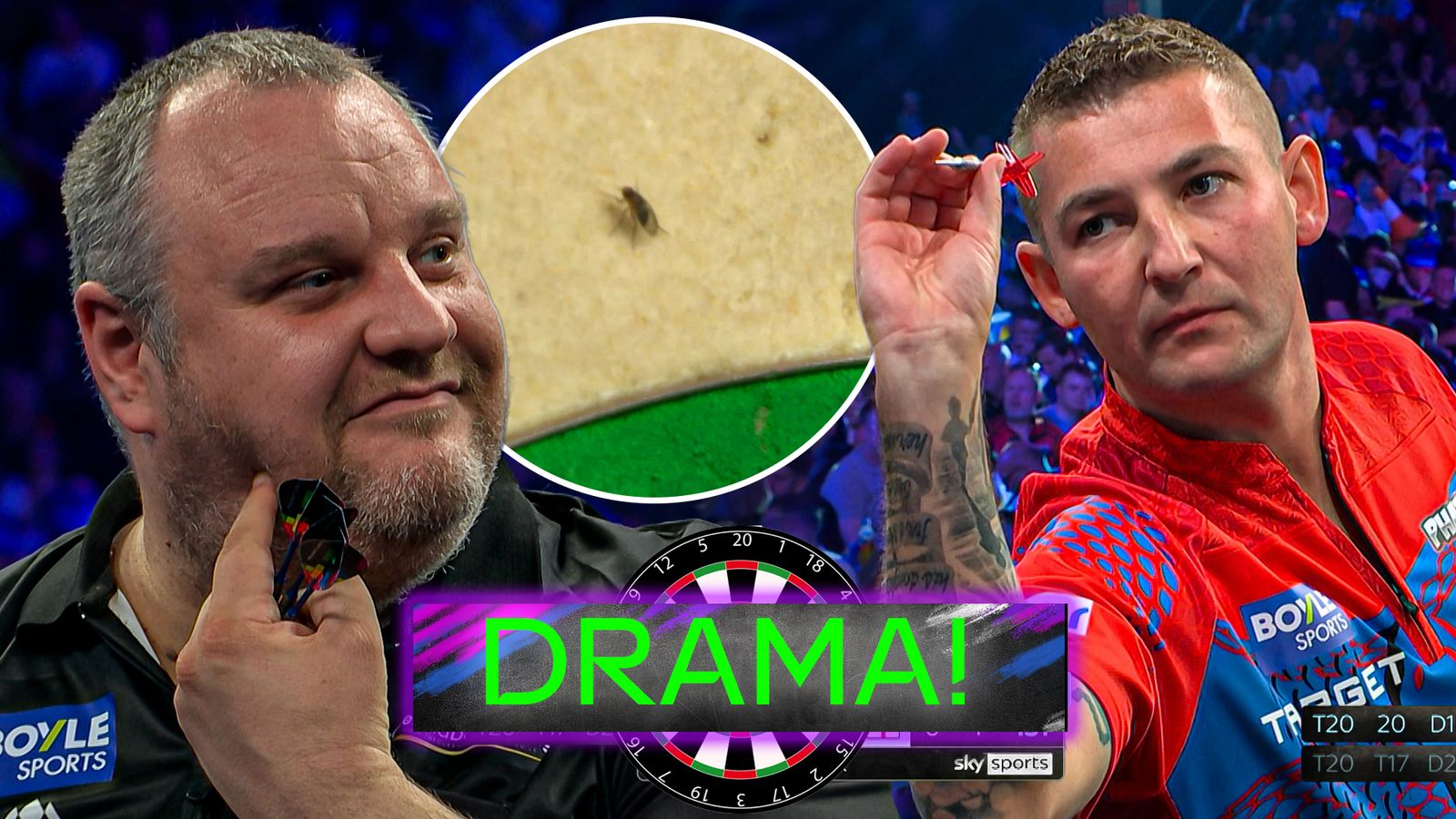 Aspinall's 112 checkout interrupted… by a fly!