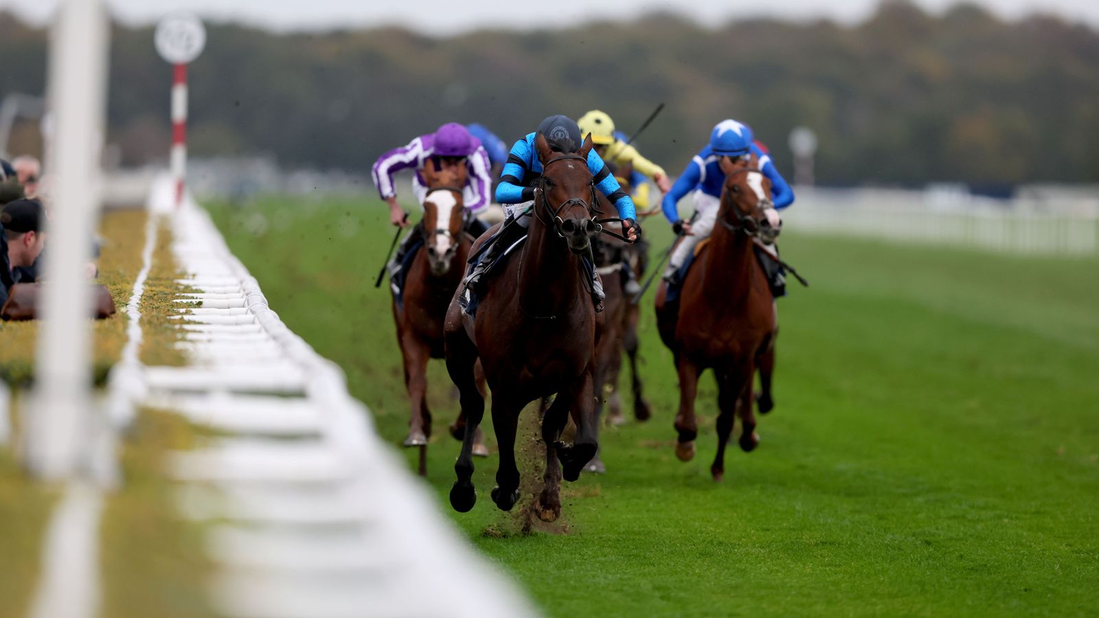 Giant Sequoia powers to impressive Futurity Trophy success | Racing News