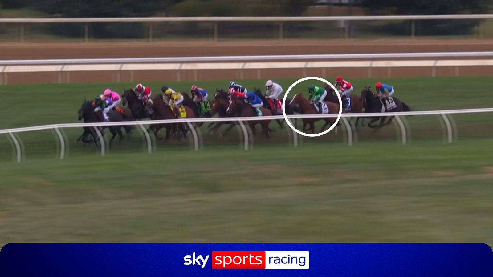 Ryan Moore at his brilliant best! Benvenuto Cellini soars to Breeders' Cup Turf win