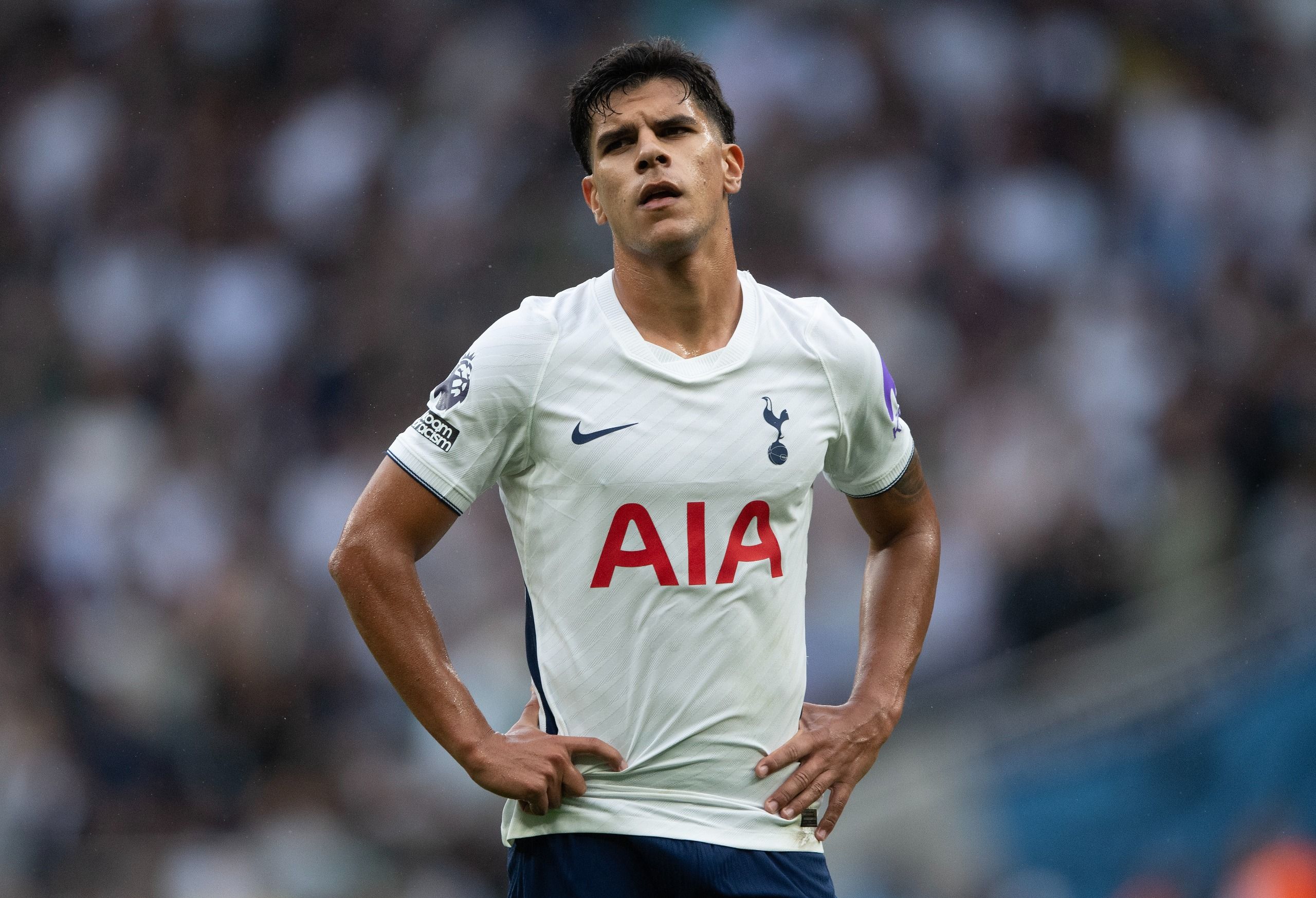 Tottenham Hotspur are mistreating their ‘perfect signing’ despite Roberto De Zerbi’s confidence comments